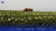 حل یک سوتفاهم تاریخی میان شهرداری تهران و سازمان آبفا