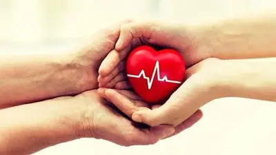 مواد غذایی مفید برای تقویت سلامت قلب