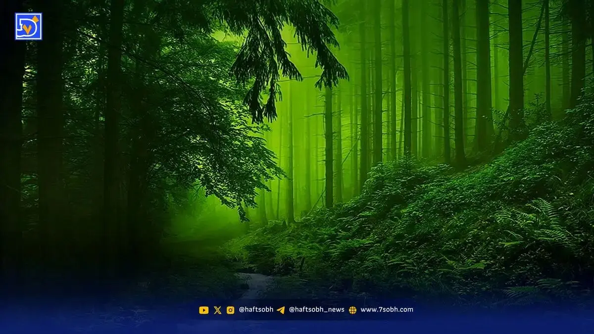 تست شخصیت شناسی