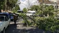 هشدار باد شدید در تهران؛ ستاد بحران به حالت آماده‌باش درآمد