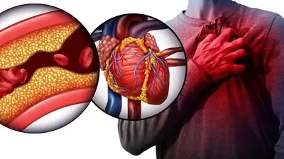 فیبر چیست و چرا برای سلامت بدن ضروری است؟