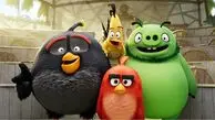 انیمیشن Angry Birds 3 زودتر اکران می‌شود؛ پیوستن مستربیست و صداپیشگان بیشتر
