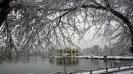 تبریزی ها با برف به استقبال پاییز رفتند