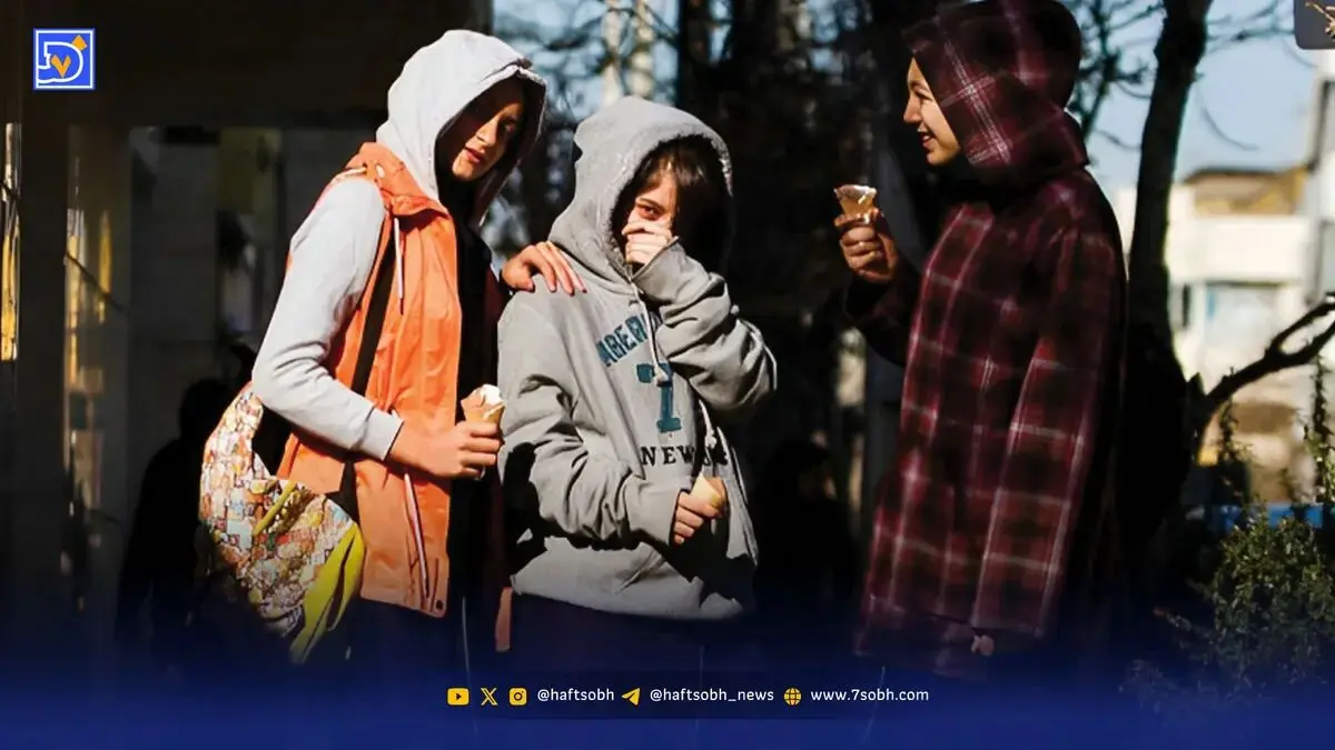 الیاس حضرتی، رئیس شورای اطلاع‌رسانی دولت در حکمی امیررضا احمدی را به‌عنوان مشاور رئیس شورا در امور نسل Z منصوب کرد