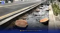 ‌متهم جدید خشک شدن درختان ولیعصر