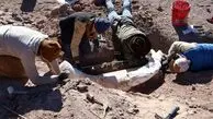 گنج 2000 ساله از حیاط یک خانه پیدا شد