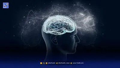 در چه سنی باهوش‌تر هستیم؟ پاسخ علم شاید غافلگیرتان کند