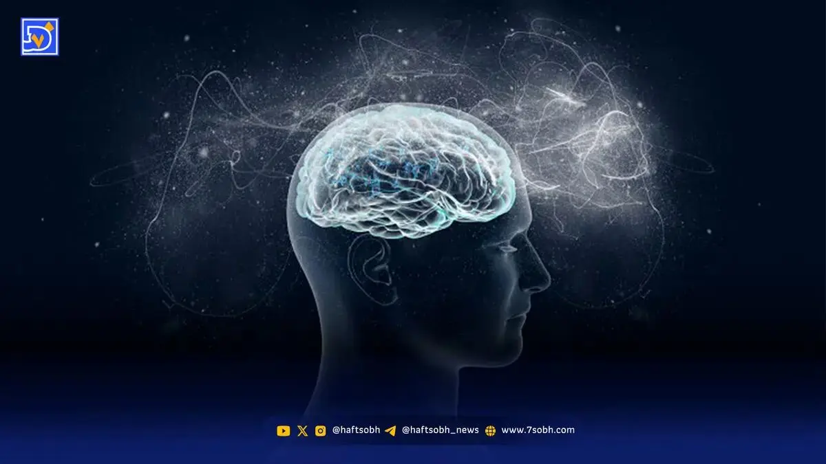 ۱۰ کشور با پایین‌ترین میانگین IQ در جهان ۲۰۲۵