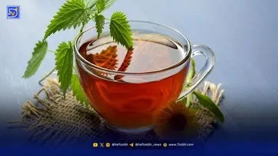 بدن‌تان چه هشداری می‌دهد؟ علائم کمبود ویتامین‌ها از خستگی تا ریزش مو