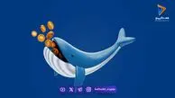 نهنگ ارز دیجیتال کیست و چگونه معامله می‌کند؟