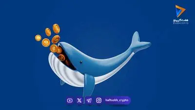 نقشه راه شکار نهنگ‌ها: ۵ گام تا شناسایی پول هوشمند