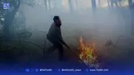افزایش محسوس دما در شمال کشور