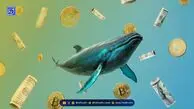 معاملات نهنگ بزرگ هایپرلیکویید؛ او از ریزش بازار خبر داشت؟