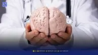 ۵ خوراکی شگفت‌انگیز برای تقویت حافظه و تمرکز ذهن