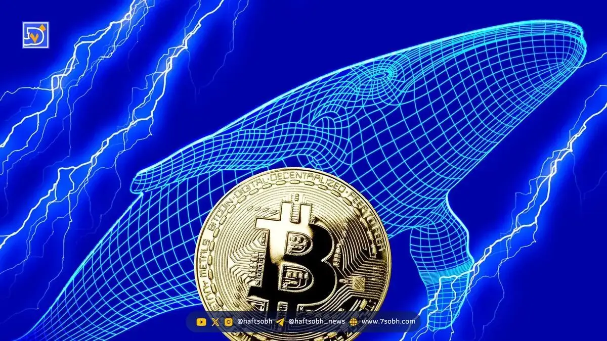 تحلیل بیت کوین (16 مهر): سود هنگفت نهنگ‌های کوتاه‌مدت؛ قیمت BTC به کدام سمت می رود؟