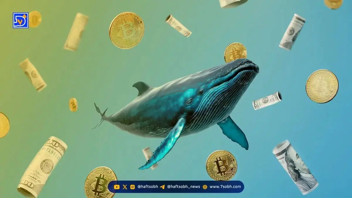 نهنگ بیت‌کوین روی کاهش قیمت BTC و ETH شرط بسته بود