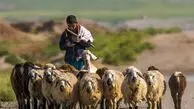 سفر در زمان | تصویری نوستالژی از یک چوپان و پسرانش در ارتفاعات لاچینِ قره‌باغ، سال ۱۹۸۰