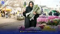 قیمت گل و گیاه