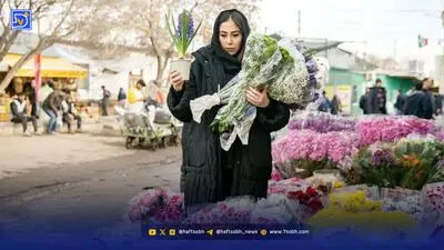گلدان‌ها جای باغچه را گرفته‌اند