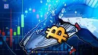 شرط‌بندی بزرگ نهنگ بیت‌کوین روی سقوط قیمت BTC