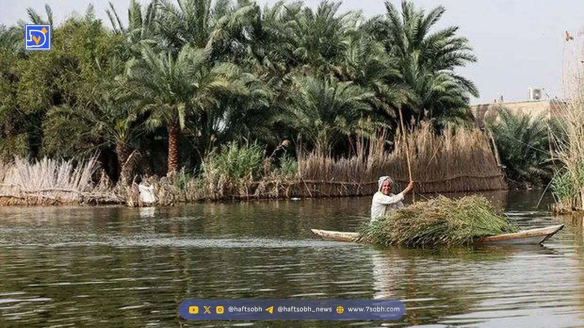 تالاب بین‌المللی شادگان، شاهراه توسعه پایدار منطقه