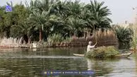 تالاب بین‌المللی شادگان، شاهراه توسعه پایدار منطقه