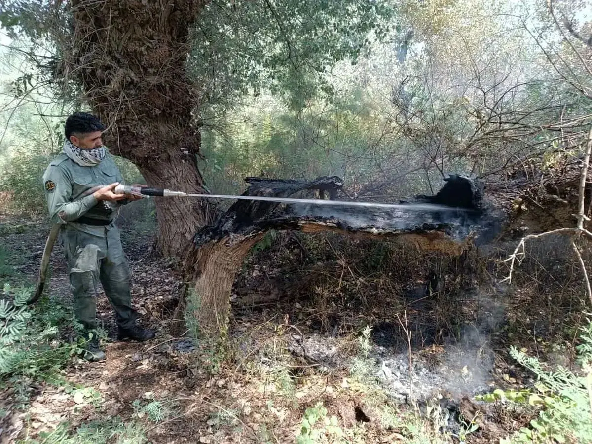 آتش‌سوزی ارتفاعات مانشت سیروان