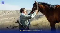 سربازان طبیعت| عدم آشنایی با حیات وحش و خطر درگیری با حیوانات