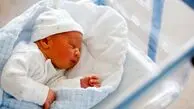 ثبت بیش از ۱۱ هزار واقعه ولادت چند قلوزایی طی امسال
