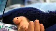 فوت دانش آموز زرندی در زنگ ورزش چه بود؟