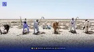 هامون تشنه‌تر از همیشه