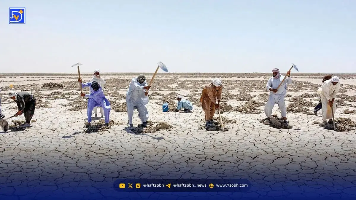 هامون تشنه‌تر از همیشه