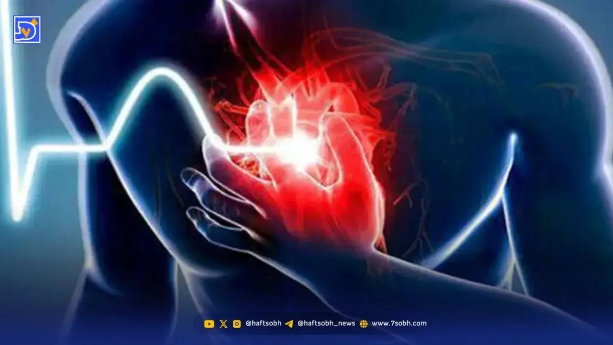 یک فنجان آب این میوه شما را از سکته قلبی نجات میدهد