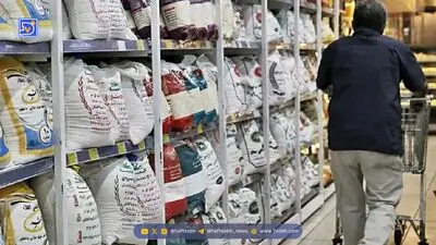 برنج سفره ایرانی‌ها از کجا می‌آید؟  