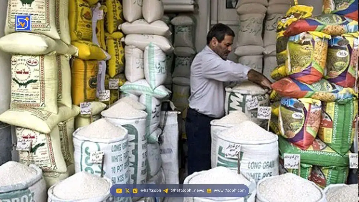 جدیدترین خبر درباره واردات برنج را بخوانید