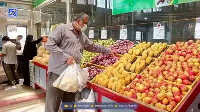 توقف فروش میوه و سبزی با کالابرگ / کالابرگ 2 برابر میشود؟