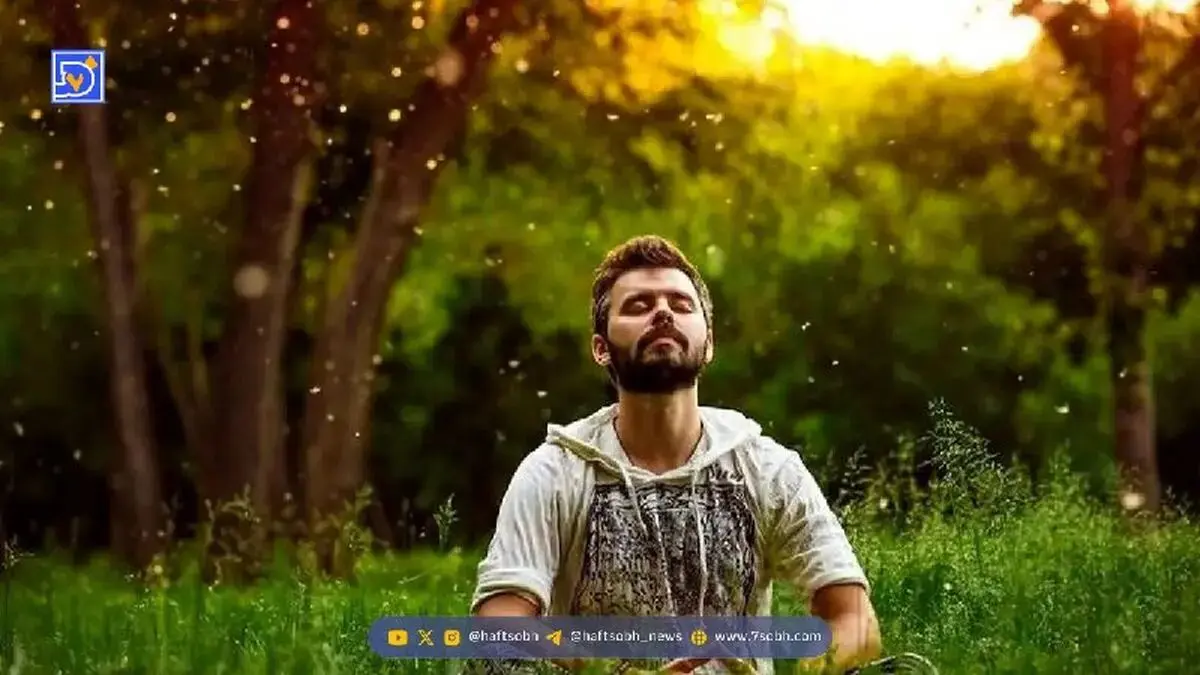 با خواص آفتاب پاییزی آشنا شوید