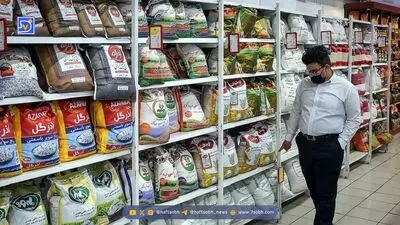 برنج سفره ایرانی‌ها از کجا می‌آید؟  