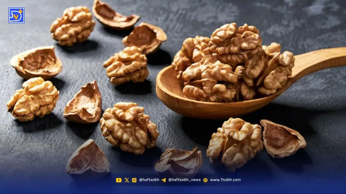 قدرت مغز گردو برای سلامتی را دست‌کم نگیرید