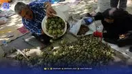 گردوها از پوست درآمدند | قیمت انواع گردو
