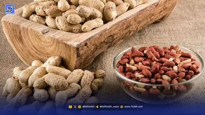 آجیل‌های عجیب در بازار تهران