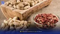 روایتی از قیمت، طعم و رازهای پنهان بادام زمینی