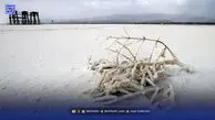 اختلاف نظر در منشا ریزگردهای اردبیل