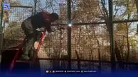 پردیسان نه باغ‌وحش است و نه محل نمایش جانوران