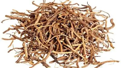 درخواست مبلغ مرخصی زایمان غیرحضوری شد