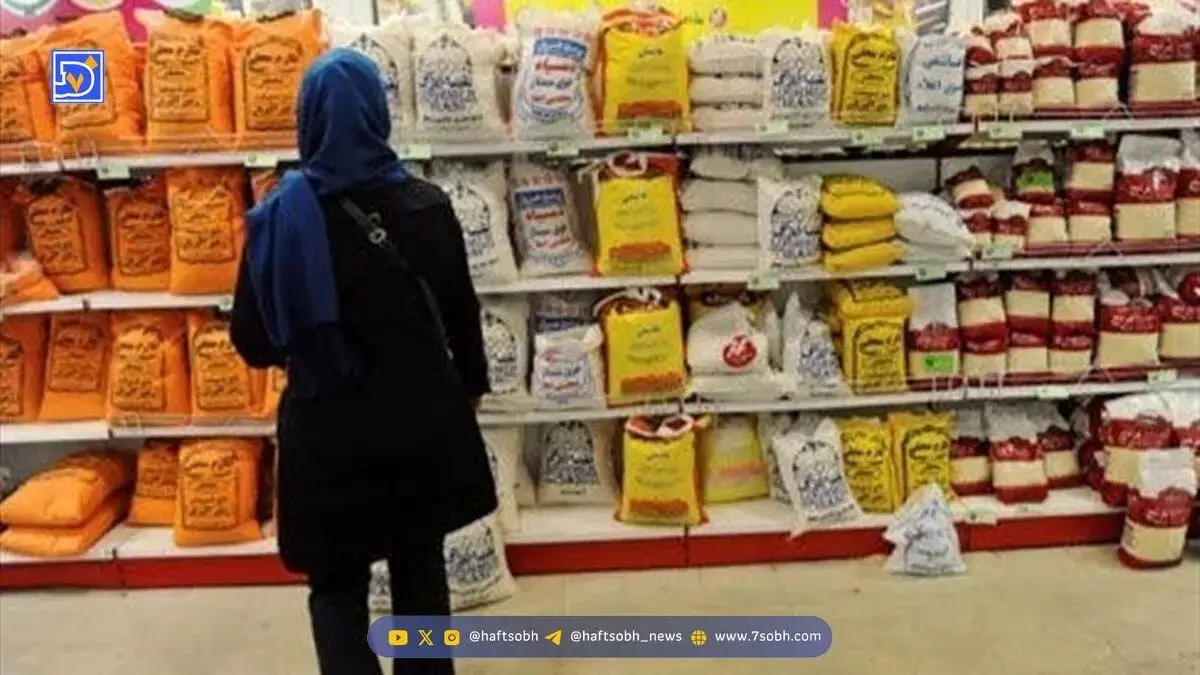 افزایش چشمگیر قیمت برنج ایران؛ برنج هندی چند؟