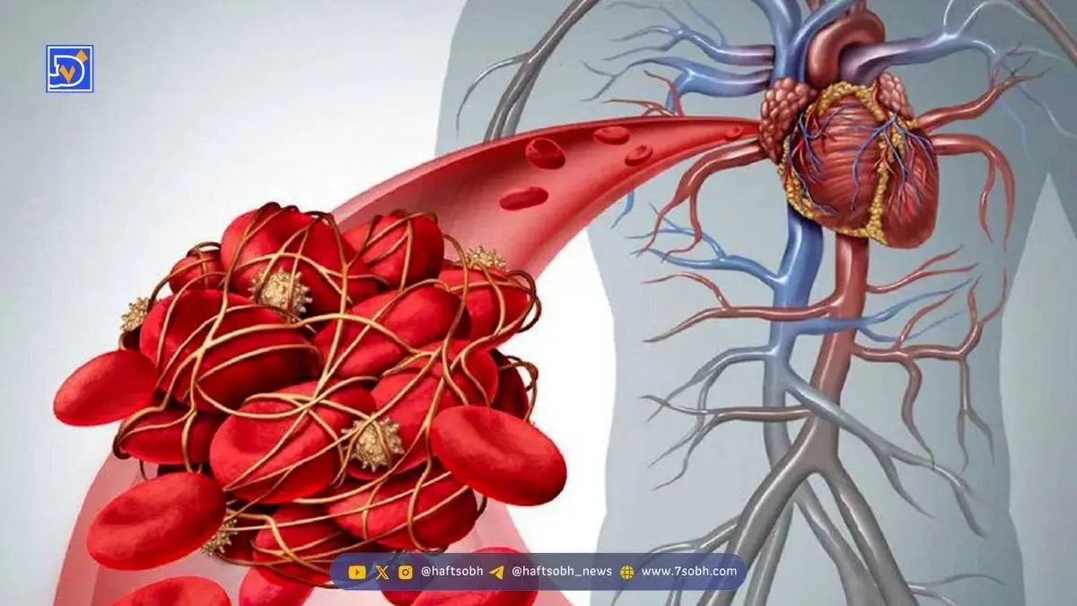دانه های ریز سیاه معجزه ای برای چربی خون شماست