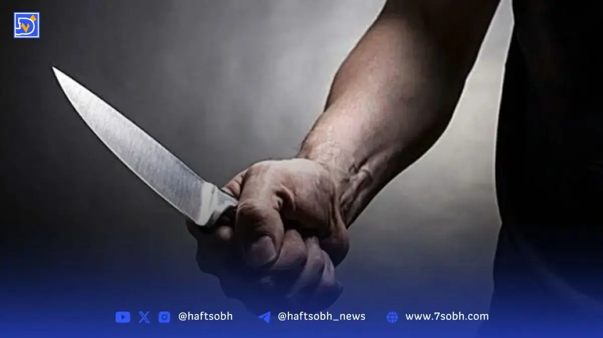 پسر ۲۶ ساله چه‌طور قاتل پدرش شد؟
