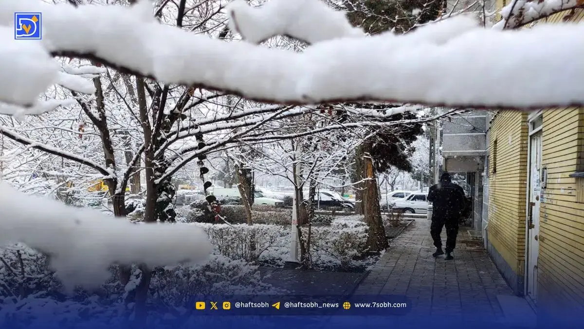 آغاز سرما و یخبندان از امشب / این استان‌ها منتظر بارش‌های سنگین باشند