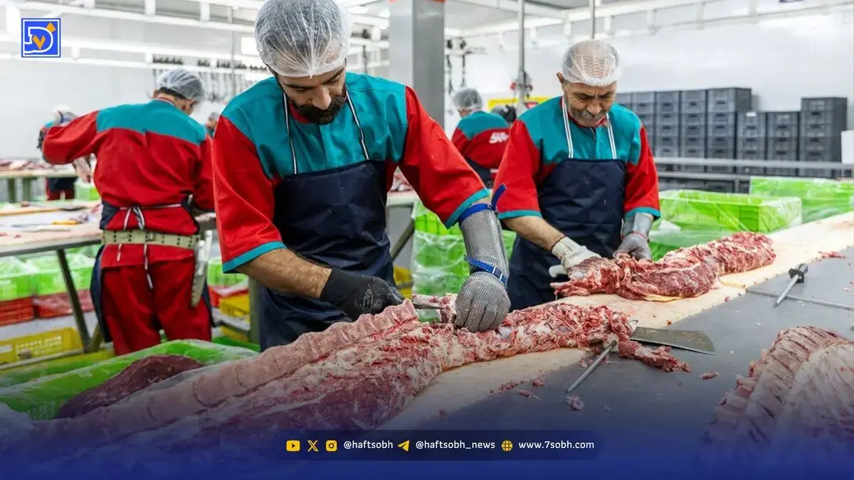 بازار ملتهب پروتئین | سایه سنگین مافیای نهاده‌ها بر سفره مردم